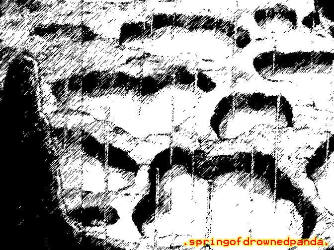 .springofdrownedpanda. — .springofdrownedpanda.