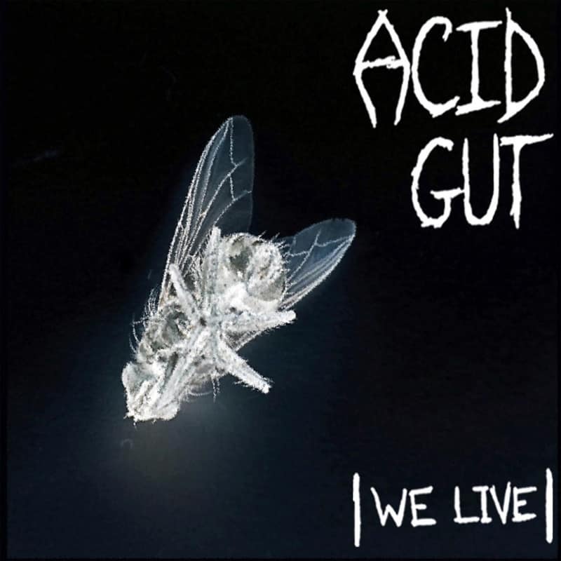 Acid Gut