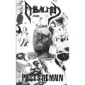 Pieces Remain