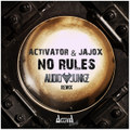 No Rules (Audio Junkz Remix)