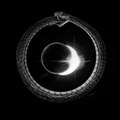 Penumbral Void