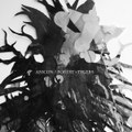 Anicon // Forest Of Tygers