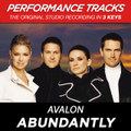 Abundantly (Performance Tracks)