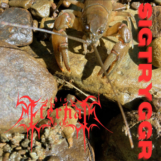 Sigtryggr