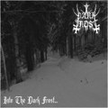 Into The Dark Frost...