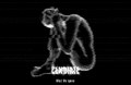What We Ignore EP