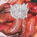 Hypothermic Rot (ft. Phoenix Tomlin Of Embryonic Decay)
