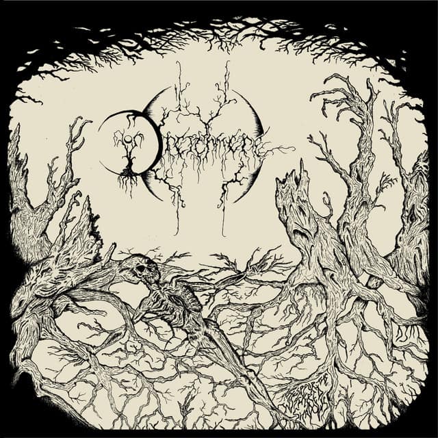 Despair the Withered Shadows