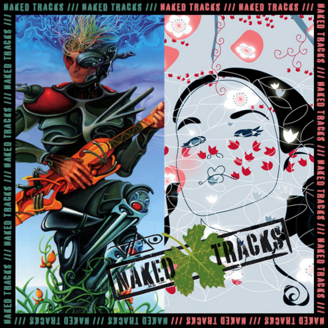 Naked Tracks Vol. 5 (The Ultra Zone / Real Illusions - Mixes With No Lead Guitar)