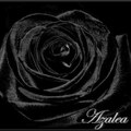 Azalea - Single