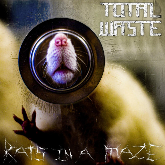 Rats in a Maze
