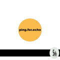 ping.for.echo