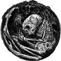 Omens From The Dead