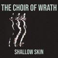 Shallow Skin
