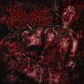 Aeroerotic Bloodplay Twincest Voyeurism [EP]