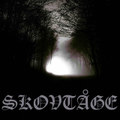 Skovtåge