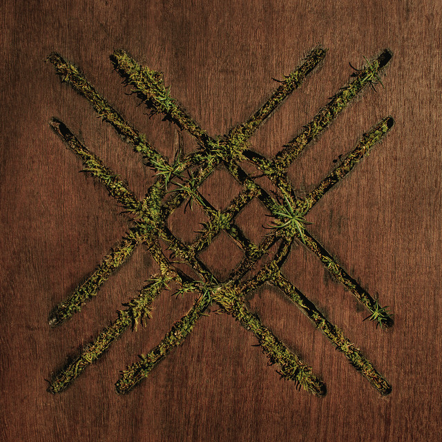 Violent Grief: Acoustic Sessions