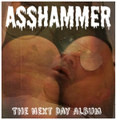 The Next Day Album