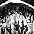 Ego Diligio Vos - 2012