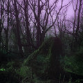 Ancestral Resonance - Single
