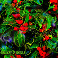 Poisoned Holly