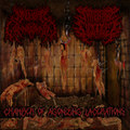 Chamber Of Agonizing Lacerations