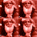 Holiday Crow (If It Makes You Merry)