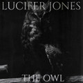 The Owl